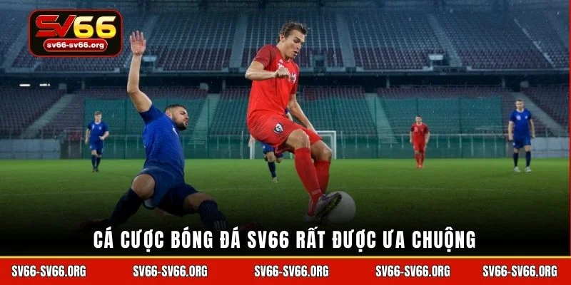 Cá cược bóng đá SV66 rất được ưa chuộng
