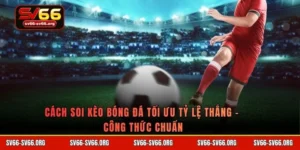 Cách soi kèo bóng đá tối ưu tỷ lệ thắng