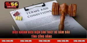 Điều khoản điều kiện