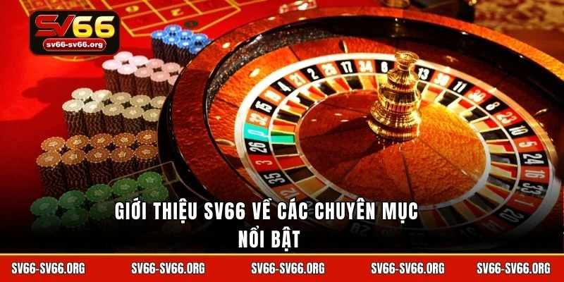 Giới thiệu SV66 về các chuyên mục nổi bật