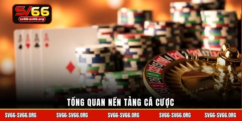 Tổng quan nền tảng cá cược