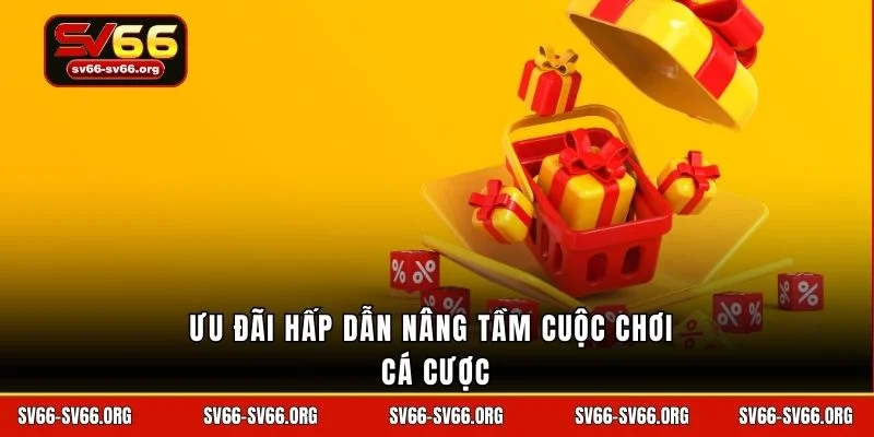 Ưu đãi hấp dẫn nâng tầm cuộc chơi cá cược