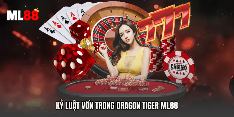 Kỷ luật vốn trong Dragon Tiger ML88